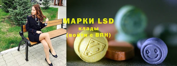 ГАЛЛЮЦИНОГЕННЫЕ ГРИБЫ Кулебаки