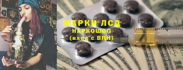 ГАЛЛЮЦИНОГЕННЫЕ ГРИБЫ Кулебаки