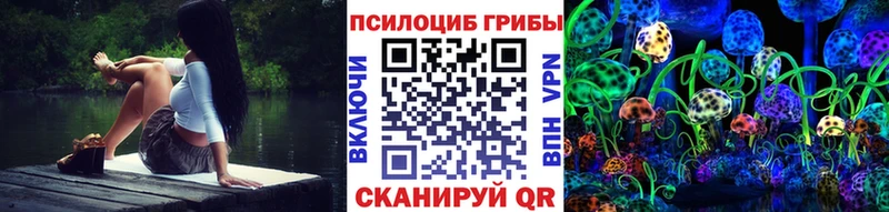 Псилоцибиновые грибы Psilocybine cubensis  ОМГ ОМГ   Суворов 